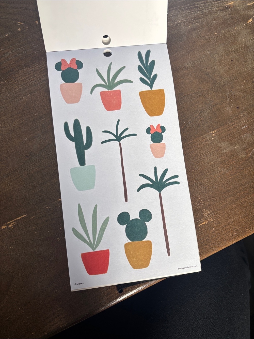 Disney Oasis Adventure Sticker Pack-The Happy Planner - Picture 5 of 6